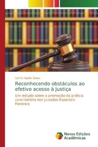 Könyv Reconhecendo obstaculos ao efetivo acesso a Justica Camila Aguiar Souto