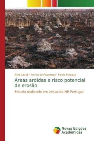 Book Areas ardidas e risco potencial de erosao Aline Cavalli