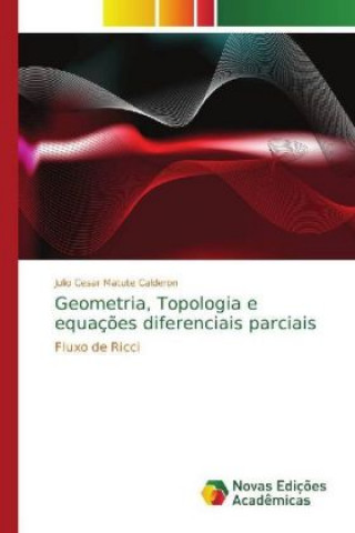 Kniha Geometria, Topologia e equacoes diferenciais parciais Julio Cesar Matute Calderon