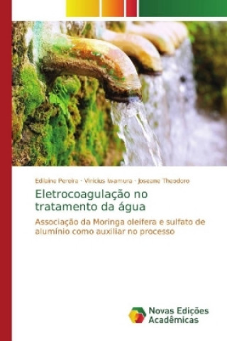 Kniha Eletrocoagulacao no tratamento da agua Edilaine Pereira
