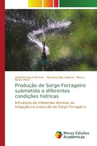 Carte Producao de Sorgo Forrageiro submetido a diferentes condicoes hidricas Jardel Henrique Kirchner