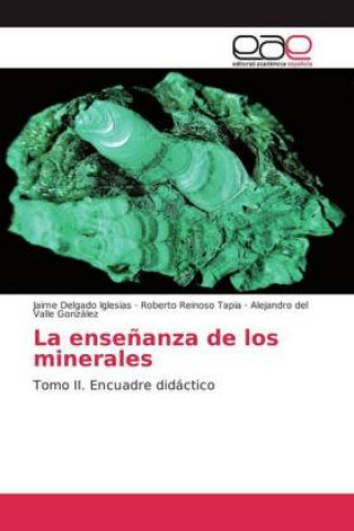 Knjiga La enseñanza de los minerales Jaime Delgado Iglesias