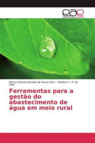 Kniha Ferramentas para a gestao do abastecimento de agua em meio rural Welitom T. P. da Silva