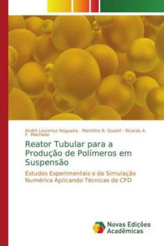 Kniha Reator Tubular para a Producao de Polimeros em Suspensao André Lourenço Nogueira
