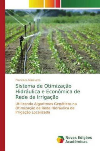 Knjiga Sistema de Otimização Hidráulica e Econômica de Rede de Irrigação Francisco Marcuzzo