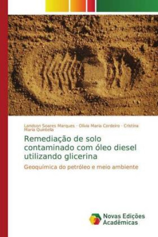 Carte Remediacao de solo contaminado com oleo diesel utilizando glicerina Landson Soares Marques