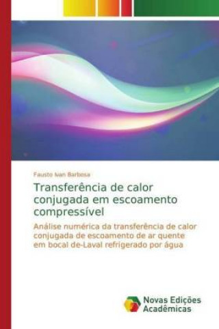 Książka Transferencia de calor conjugada em escoamento compressivel Fausto Ivan Barbosa