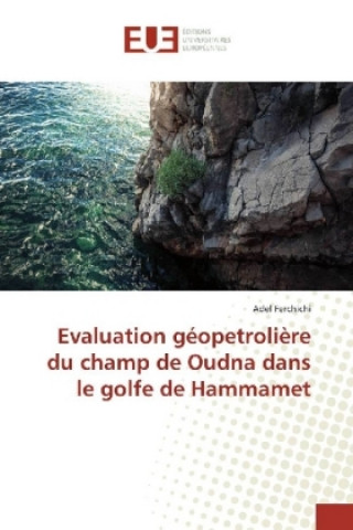 Kniha Evaluation géopetrolière du champ de Oudna dans le golfe de Hammamet Adel Ferchichi