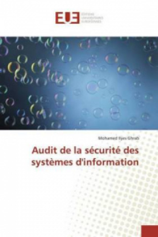 Kniha Audit de la sécurité des systèmes d'information Mohamed Ilyes Ghrab