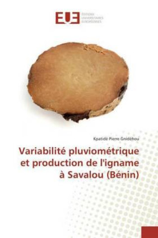 Könyv Variabilité pluviométrique et production de l'igname à Savalou (Bénin) Kpatidé Pierre Gnidéhou
