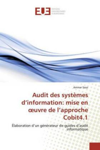 Kniha Audit des systèmes d'information: mise en oeuvre de l'approche Cobit4.1 Ammar Sassi