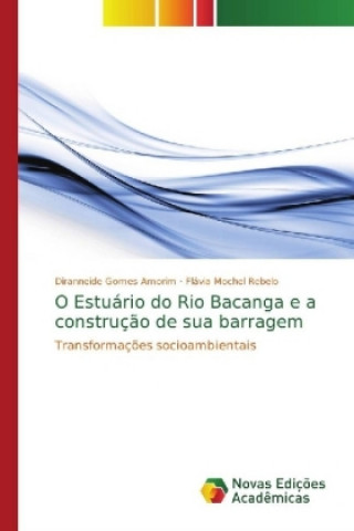 Kniha O Estuario do Rio Bacanga e a construcao de sua barragem Diranneide Gomes Amorim