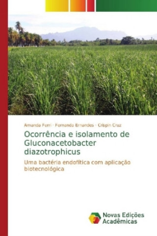 Kniha Ocorrencia e isolamento de Gluconacetobacter diazotrophicus Amanda Ferri