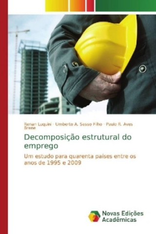 Kniha Decomposição estrutural do emprego Renan Luquini