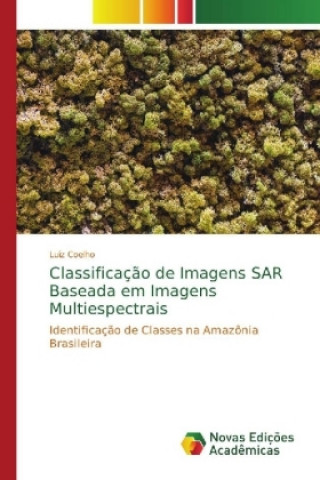 Carte Classificacao de Imagens SAR Baseada em Imagens Multiespectrais Luiz Coelho