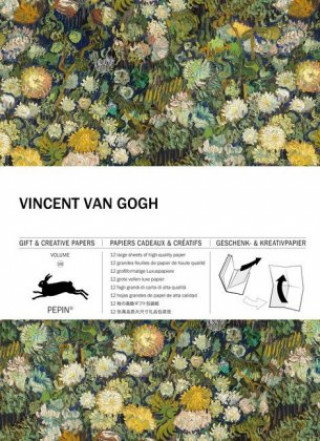 Kniha Vincent van Gogh Pepin van Roojen