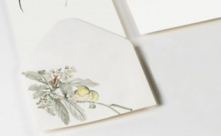 Könyv Japanese Art, 20 Umschläge Pepin van Roojen