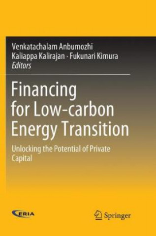 Книга Financing for Low-carbon Energy Transition Venkatachalam Anbumozhi