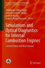 Simulations and Optical Diagnostics for Internal Combustion Engines