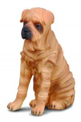 Knjiga Pies rasy Shar Pei 