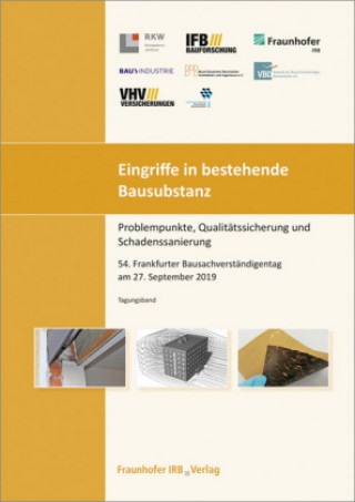 Kniha Eingriffe in bestehende Bausubstanz - Problempunkte, Qualitätssicherung und Schadenssanierung 