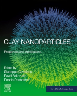 Könyv Clay Nanoparticles Rawil F. Fakhrullin