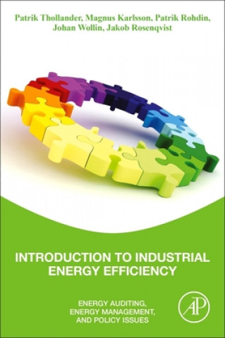 Carte Introduction to Industrial Energy Efficiency Magnus Karlsson