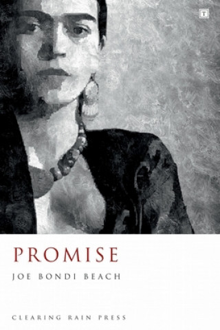 Boek Promise Joe Bondi Beach