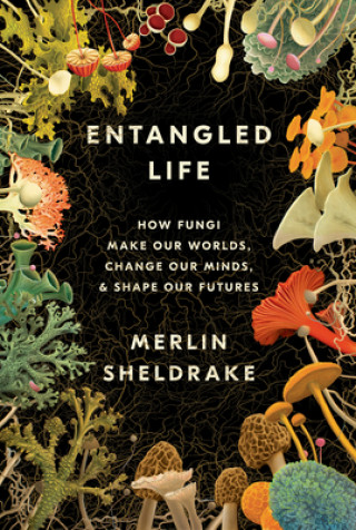 Kniha Entangled Life: How Fungi Make Our Worlds, Change Our Minds & Shape Our Futures 