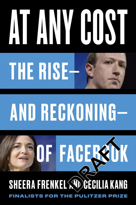 Buch Ugly Truth Cecilia Kang