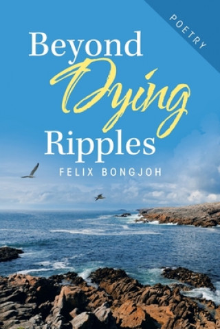 Buch Beyond Dying Ripples Felix Bongjoh