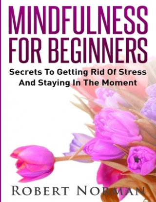 Kniha Mindfulness for Beginners 