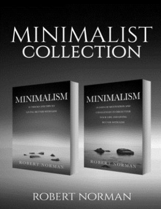 Libro Minimalism Robert Norman