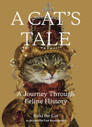 Книга Cat's Tale 