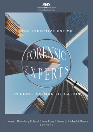 Buch Effective Use of Forensic Experts in Construction Litigation Robert Pratt