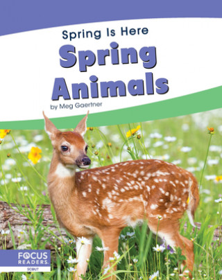 Knjiga Spring Is Here: Spring Animals Meg Gaertner