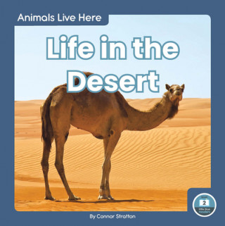 Carte Animals Live Here: Life in the Desert 