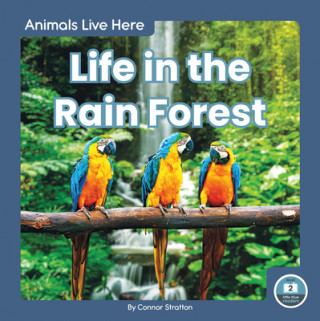 Kniha Animals Live Here: Life in the Rain Forest 