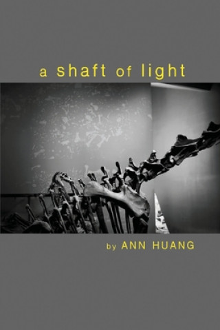 Knjiga A shaft of light Ann Huang