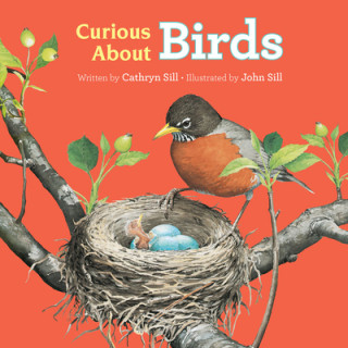 Kniha Curious about Birds John Sill