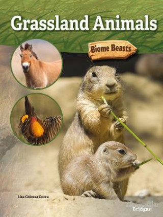 Carte Grassland Animals 