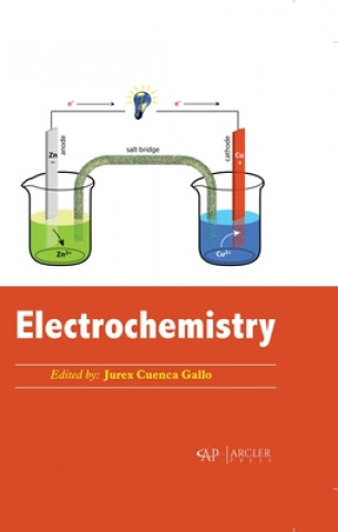 Kniha Electrochemistry 