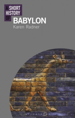 Книга Short History of Babylon 