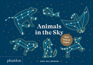 Книга Animals in the Sky 