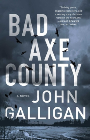 Book Bad Axe County: A Novelvolume 1 John Galligan