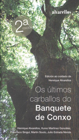 Könyv OS ÚLTIMOS CARBALLOS DO BANQUETE DE CONXO HENRIQUE ALVARELLOS