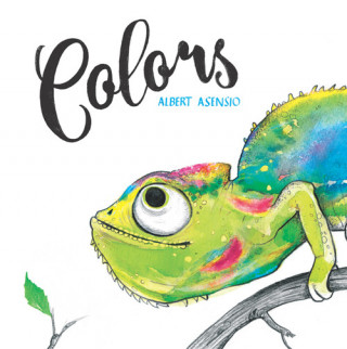 Buch COLORS ALBERT ASENSIO
