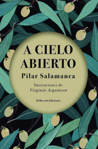 Книга A CIELO ABIERTO PILAR SALAMANCA SEGOVIANO