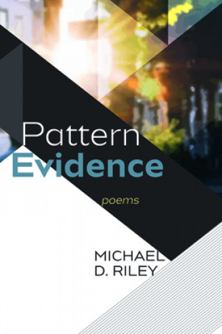 Βιβλίο Pattern Evidence Michael D. Riley