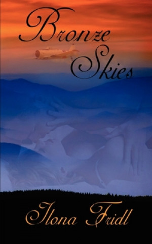 Buch Bronze Skies Ilona Fridl